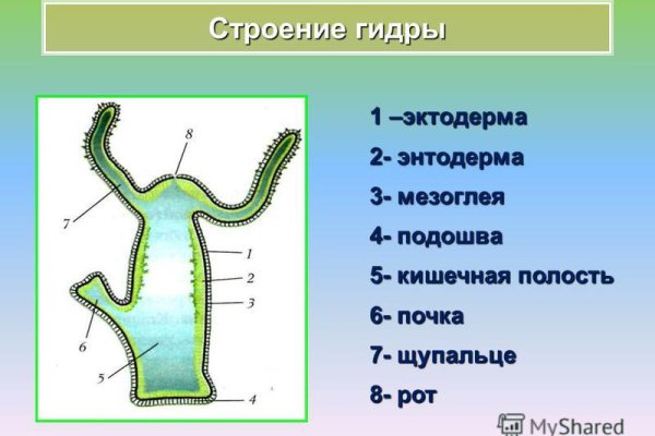 Tor mega как зайти